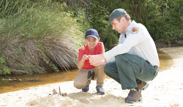 junior rangers: essential bush skills