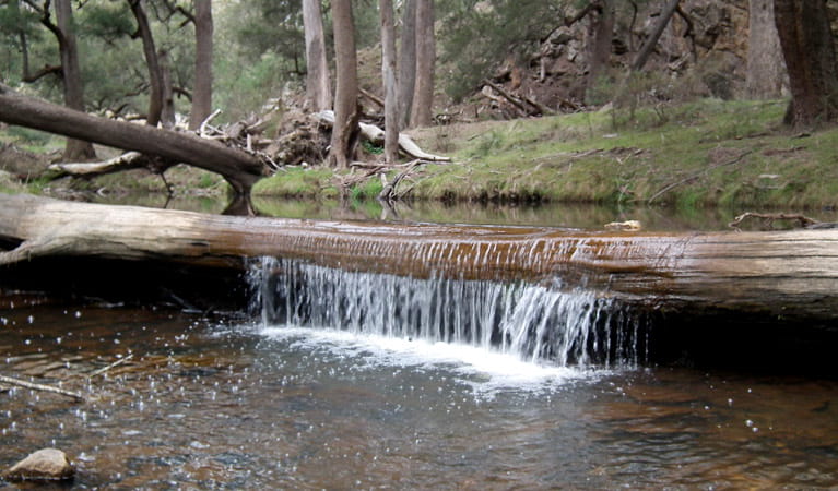 Abercrombie River at Silent Creek campground, Abercrombie River National Park. Photo: &copy; Jules Bros 