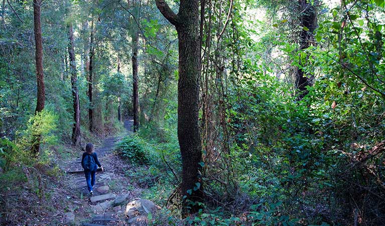 A woman walks along Nepean River walking track in Blue Mountains National Park. Photo: Nick Cubbin/OEH