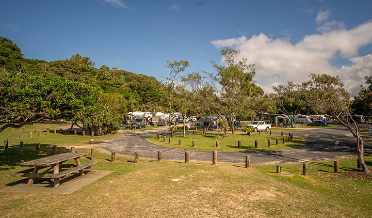 Woody Head campground and picnic area, with caravans and tents pitched by holiday makers, Bundjalung National Park. Photo: John Spencer/OEH