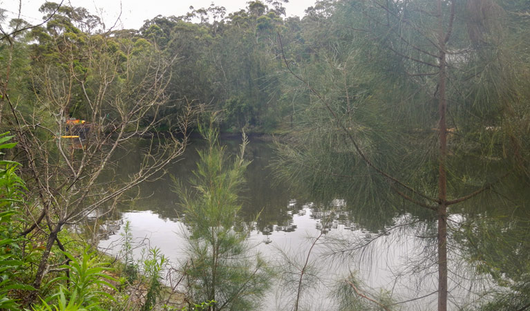 Koonjeree picnic area, Lane Cove National Park. Photo: OEH