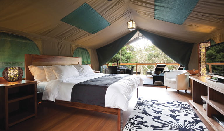 Inside the luxury tent in Lane Cove National Park. Photo: OEH