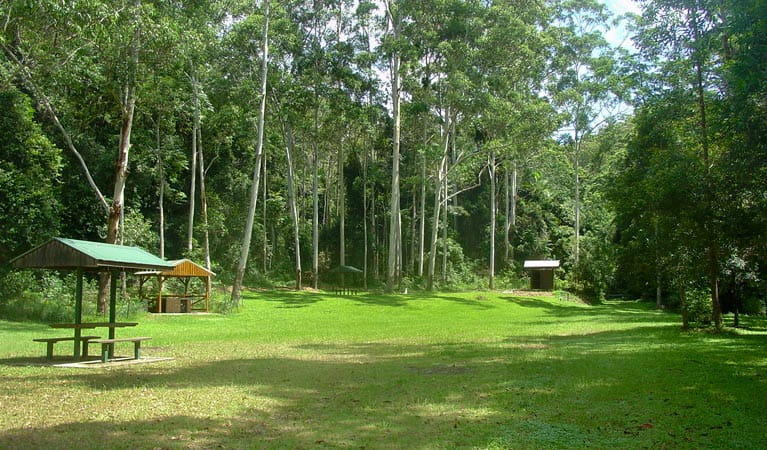Woolgoolga Creek picnic area | NSW National Parks