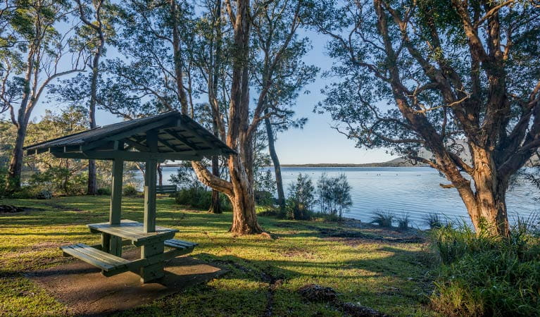 Queens Lake picnic area | NSW National Parks