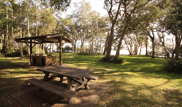 White Tree Bay campground, Myall Lakes National Park. Photo: Shane 