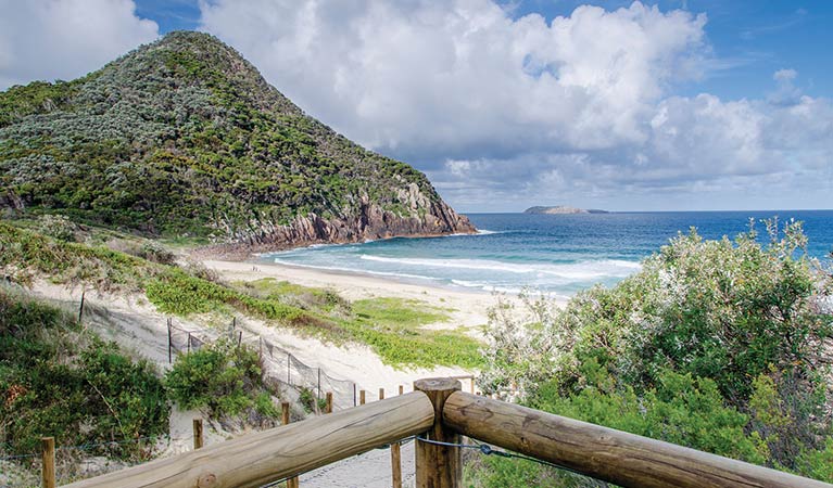 Tomaree Head Summit Walk | NSW National Parks