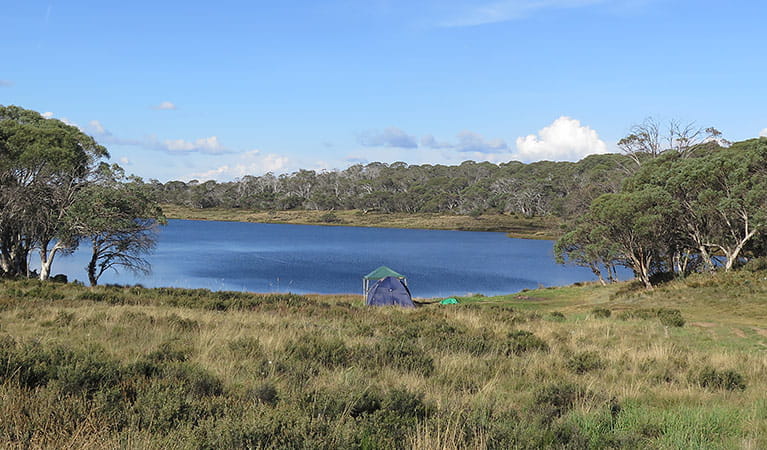 Three Mile Dam campground | NSW National Parks