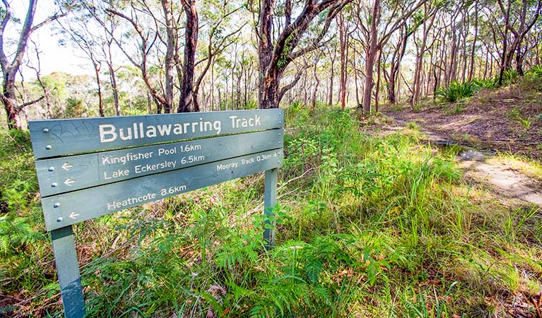 Bullawarring walking track | NSW National Parks