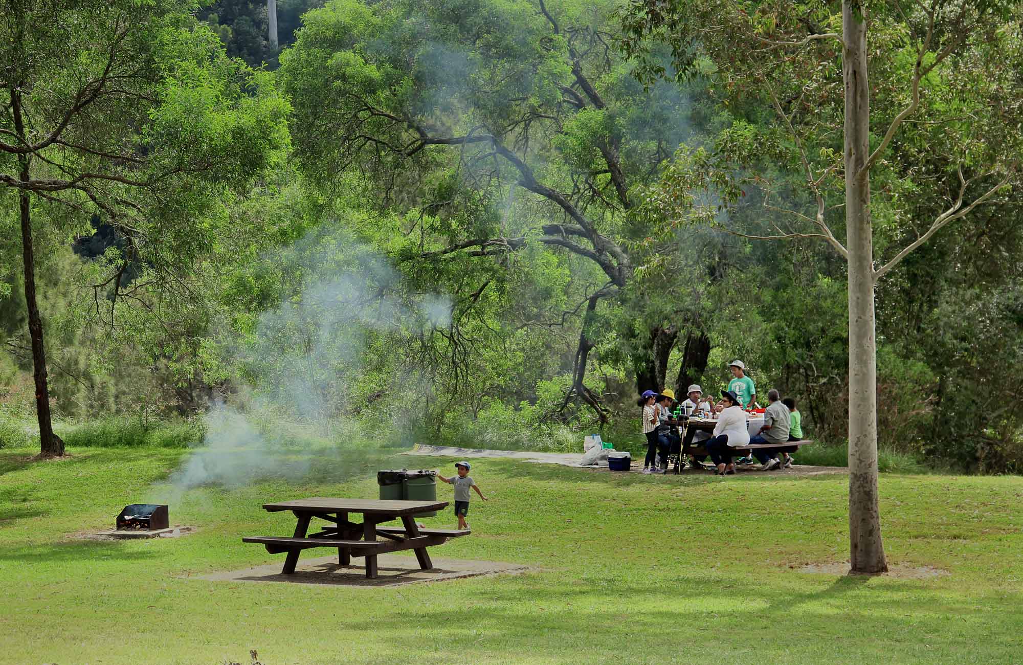 durawi-picnic-area-nsw-national-parks