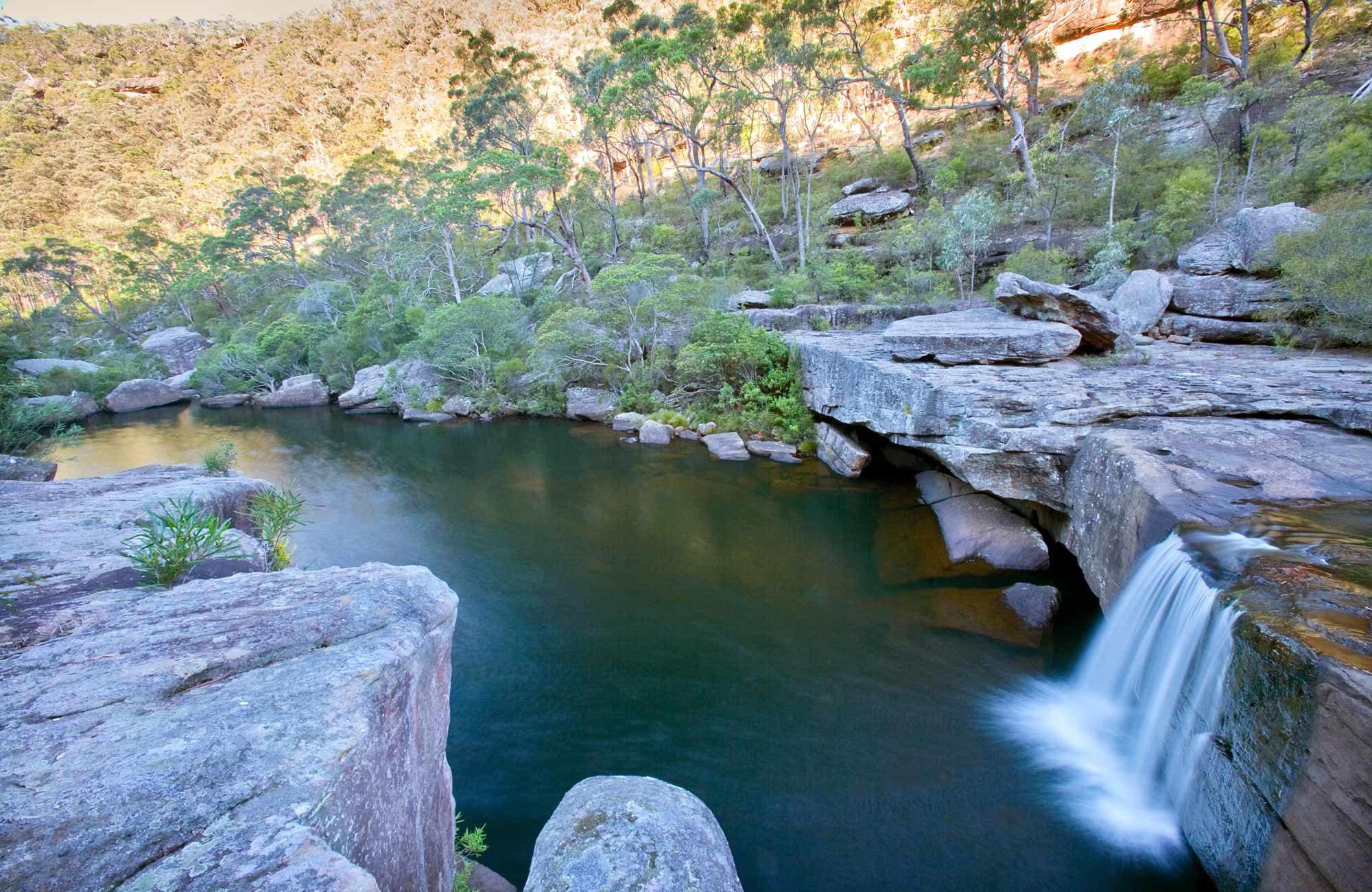 Jingga walking track | Map | NSW National Parks