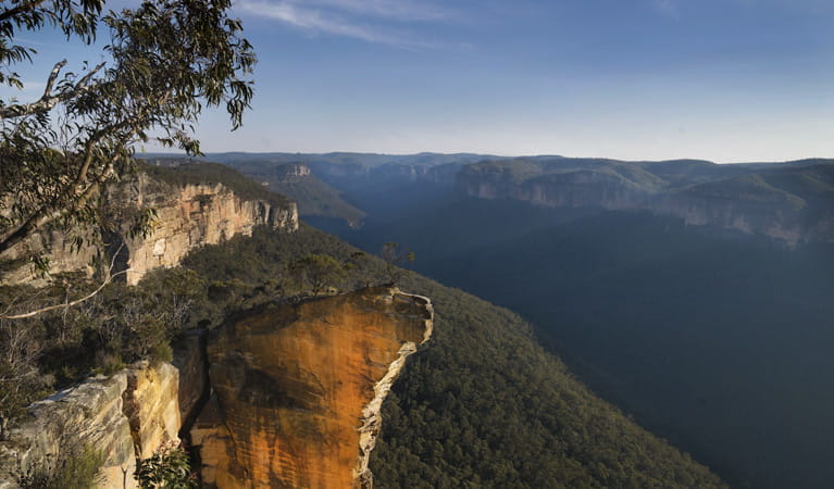 Burramoko Ridge Hanging Rock Trail Nsw National Parks