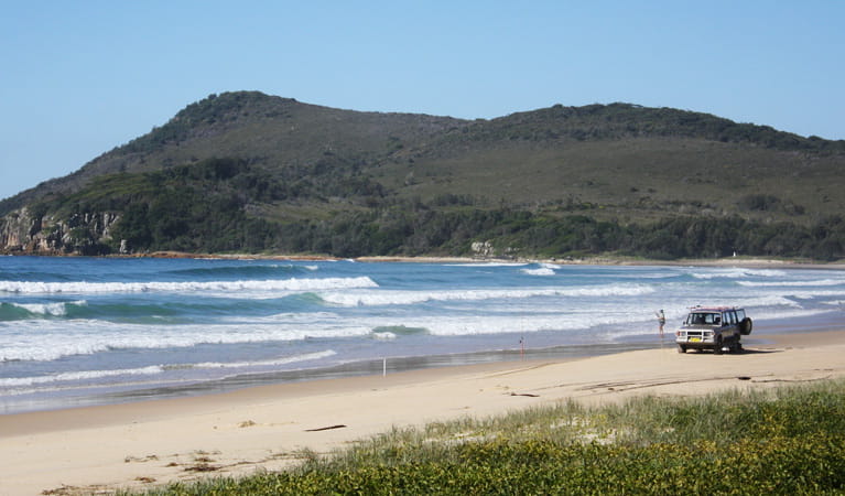 Geebung picnic area beach views, Crowdy Bay National Park. Photo: Andy