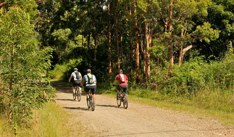 mountain bike trail park