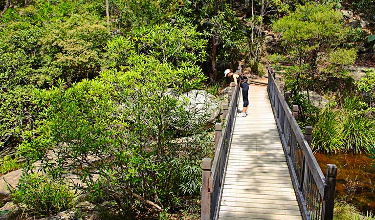 Yuelarbah walking track | NSW National Parks and Wildlife Service