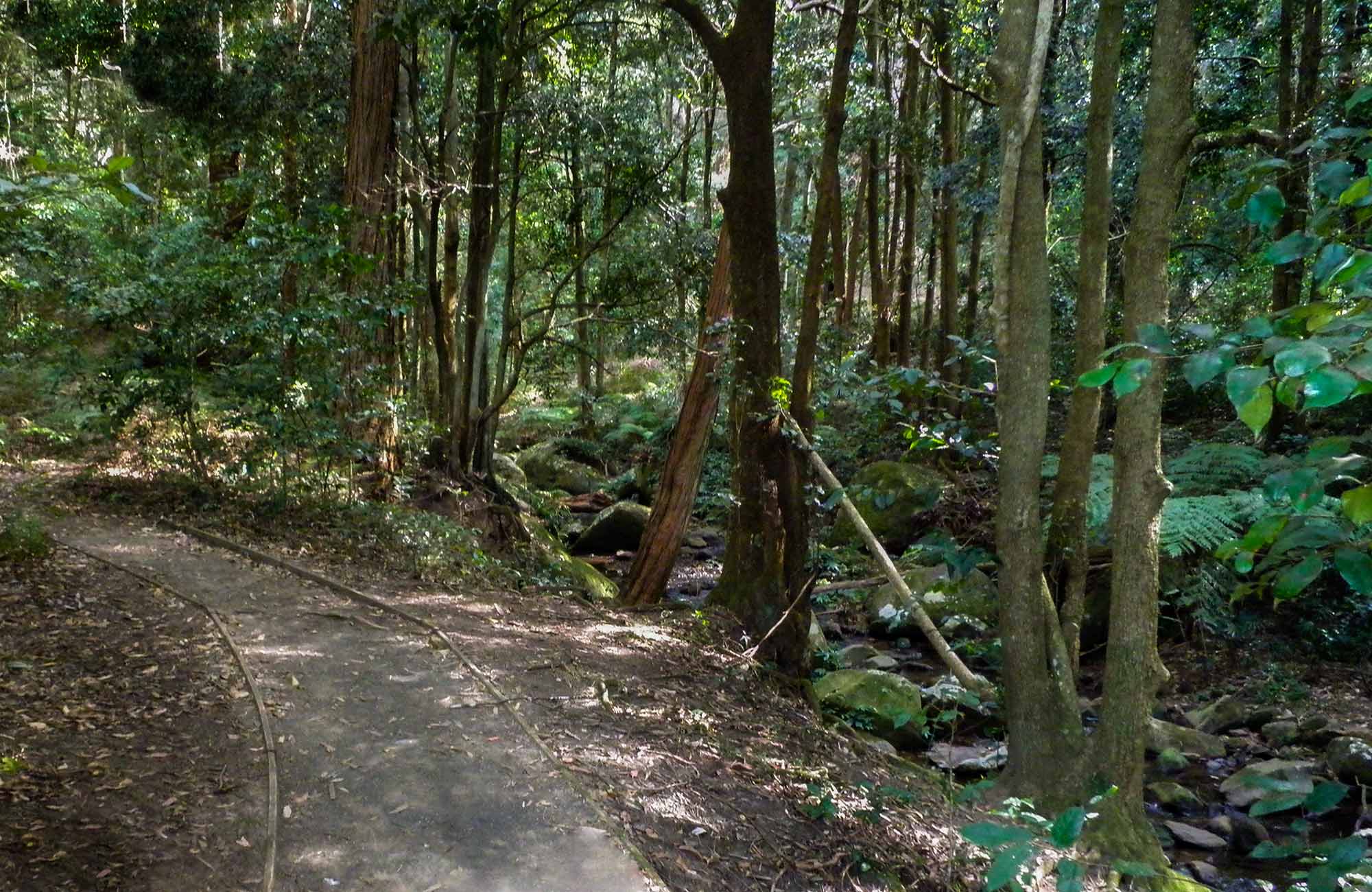 Cascades Walk | NSW National Parks