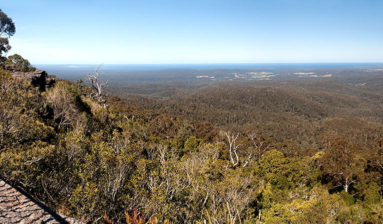  - george-boyd-lookout-02