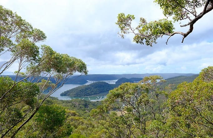 View from Tipper lookout, Muogamarra Nature Reserve. Photo: Elinor Sheargold &copy; DPE