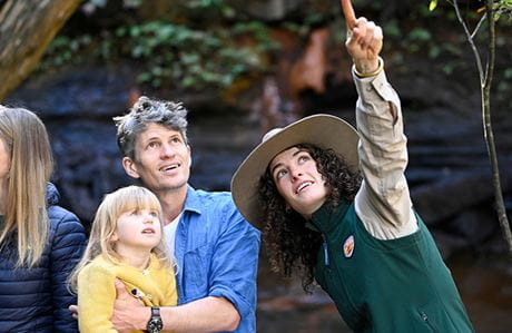 A Discovery ranger points out something in the trees to child and her dad near a waterfall in Brisbane Water National Park. Credit: Adam Hollingworth/DCCEEW &copy; DPE