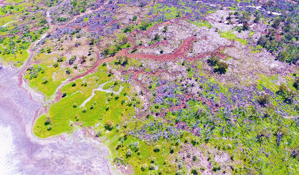 An aerial view of Back Lake showing the many colours of Ramsar listed wetlands found in Narran Lake Nature reserve. Credit: Nicola Brookhouse/DCCEEW  &copy; Nicola Brookhouse