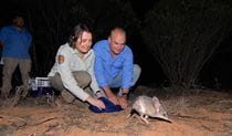 Australian native animals 