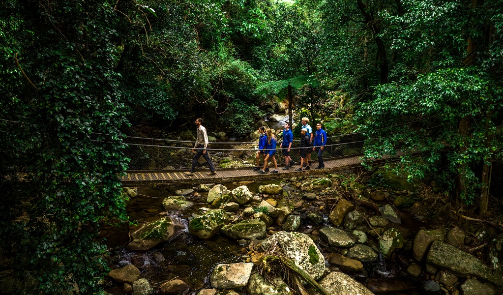 A guide leads students over the boardwalk at Minnamurra Rainforest, while they experience the rainforest's beauty and biomes. Credit: Remy Brand &copy; DCCEEW