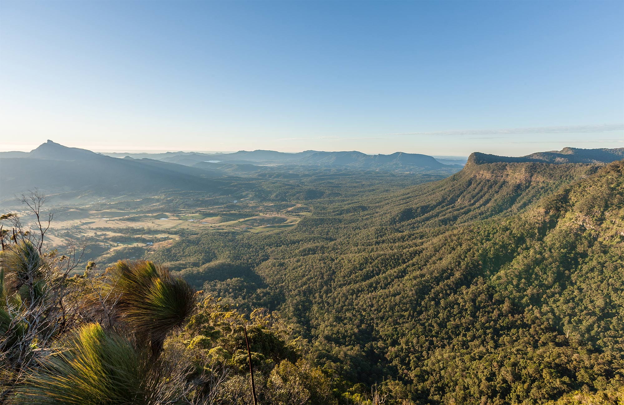 Education resources: Rainforests of NSW | NSW National Parks