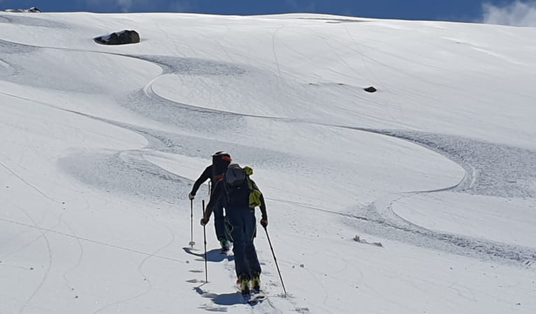 Kosciuszko Backcountry Tours And Avalanche Training | NSW National Parks