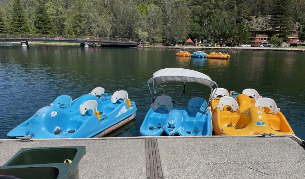 Blue and yellow pedal boats with the waterways of Ku-ring-gai Chase National Park in the background. Photo &copy; Kimport Australia