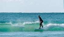 A surfer riding a wave. Photo: Mojosurf &copy; Mojosurf