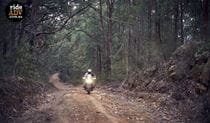 Person on motorcycle riding on trail through bushland. Photo: Jeff Hawkins &copy; Ride ADV