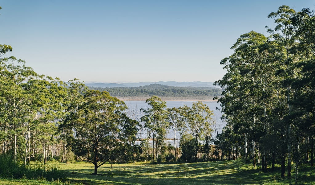 View from Innes Ruins of Lake Innes, down a sloping green lawn and trees, Innes Ruins Historic Site. Image: Jay Black/DCCEEW