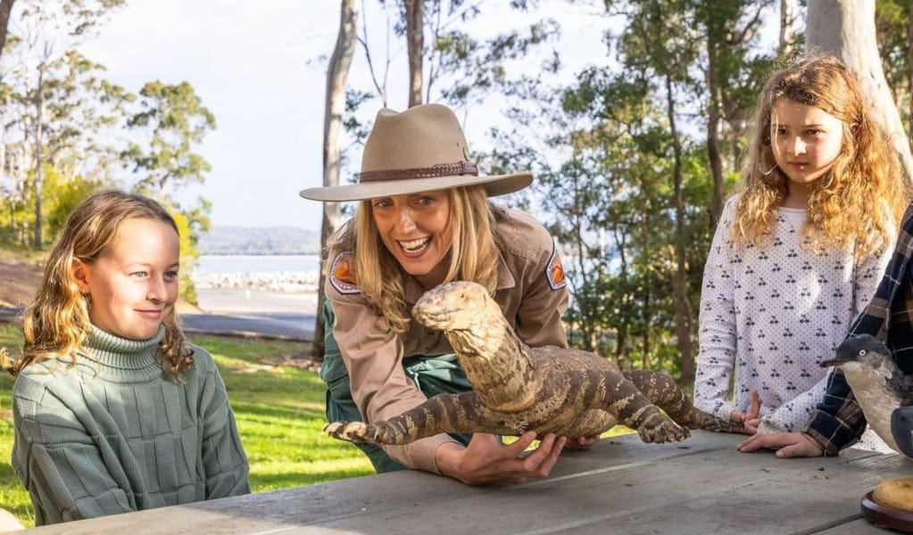 NPWS Ranger shows children a taxidermy goanna in Merimbula National Park. Photo: David Rogers &copy; DCCEEW