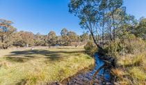 The grassy banks of Sawpit Creek in Kosciuszko National Park. Photo: Murray Vanderveer &copy; OEH