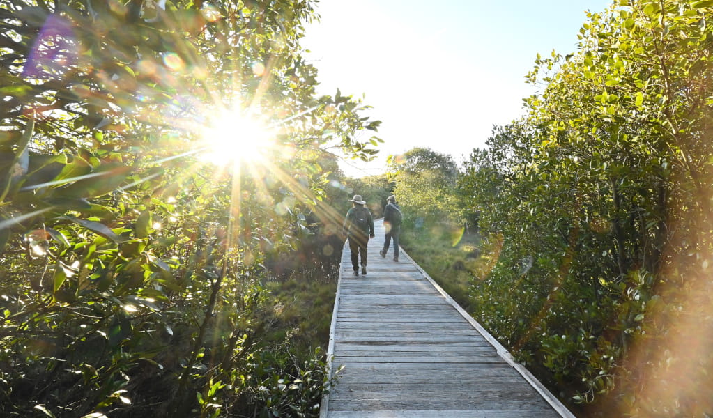 Two people walking on Merimbula Lake Boardwalk. Photo: Adam Hollingworth &copy; DCCEEW