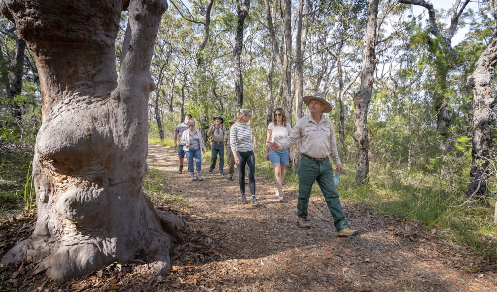 People walking through Muogamarra Nature Reserve on tour. Photo: John Spencer &copy; DCCEEW