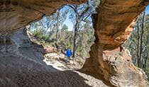 Discovery guide at Sandstone Caves walking track. Photo: Leah Pippos and John Spencer &;copy DCCEEW