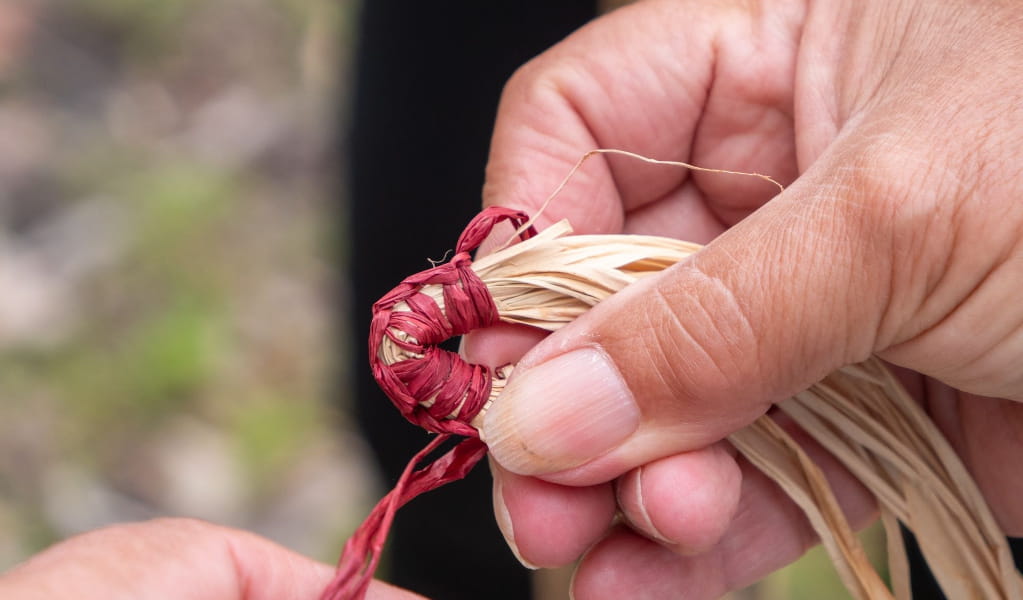 Close up of hands at Traditional Weaving workshop in Bournda National Park. Photo: Jessica Taunton &copy; DCCEEW