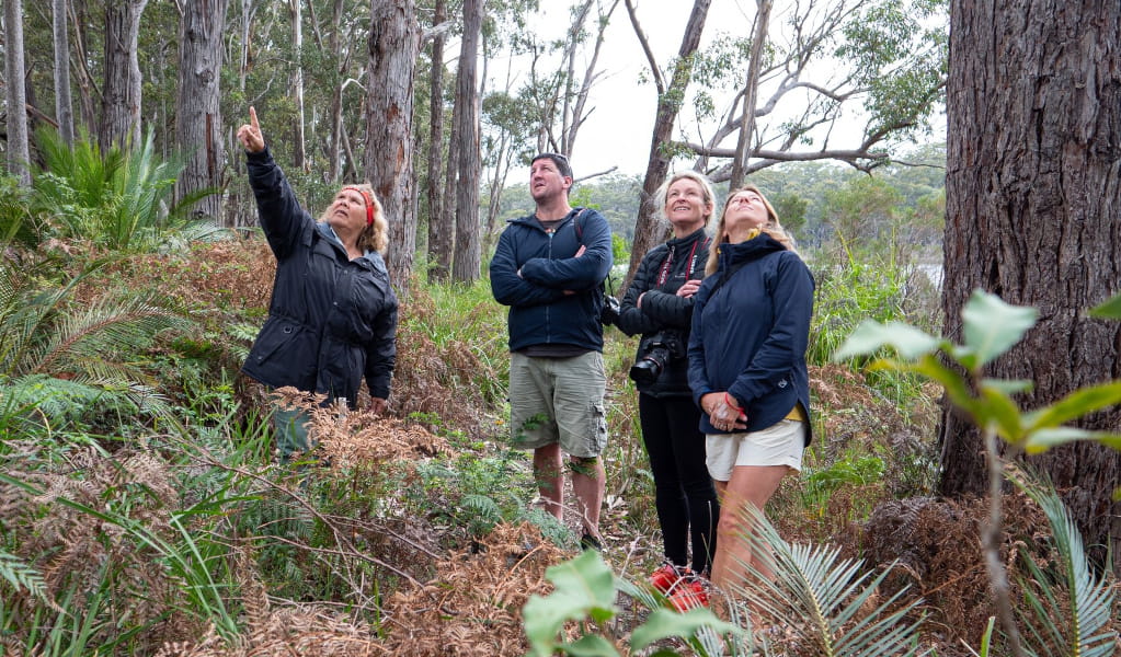 Traditional weaving workshop in Eurobodalla National Park. Photo: Jessica Taunton &copy; DCCEEW