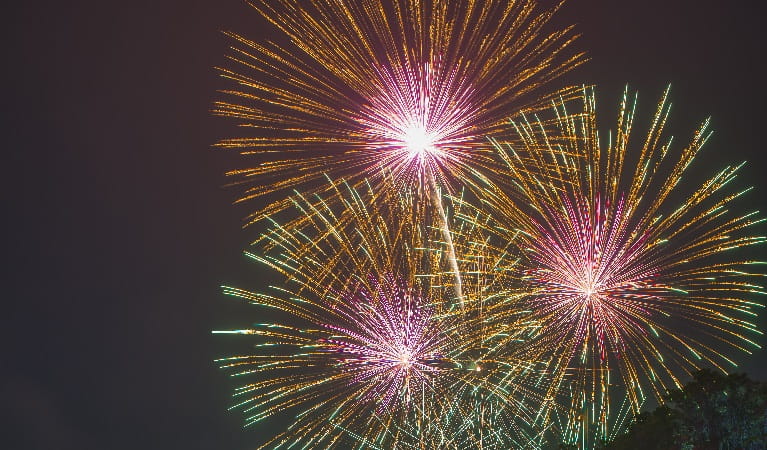 The Sydney Harbour fireworks, Athol Lawn, Bradleys Head, Sydney Harbour National Park. Photo: John Spencer &copy; DPE