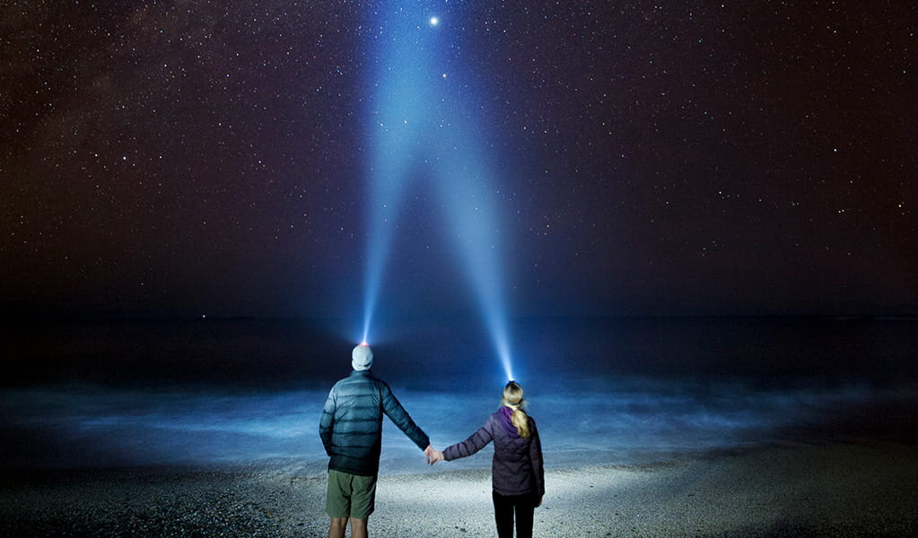 Couple holding hands on a beach at night with headlights looking up at the milky way. Credit: Lisa Russo/DPE