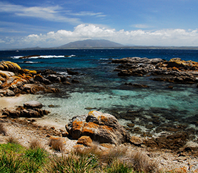 Rocks with orange lichen and clear waters in a bay at Barunguba Montague Island with Gulaga in the background. Photo: Stuart Cohen © Stuart Cohen and DCCEEW