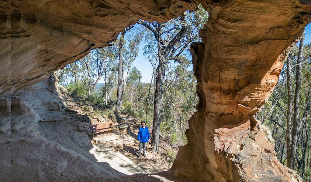 Sandstone Caves walking track will take you through impressive sandstone hills which contain ancient Aboriginal rock engravings. Photo: John Spencer/DCCEEW &copy; DCCEEW