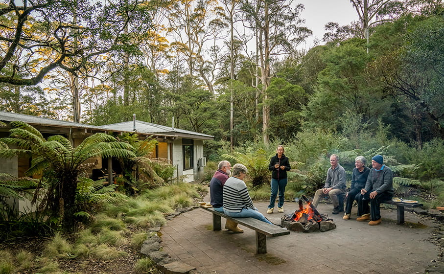 Camping And Accommodation | NSW National Parks