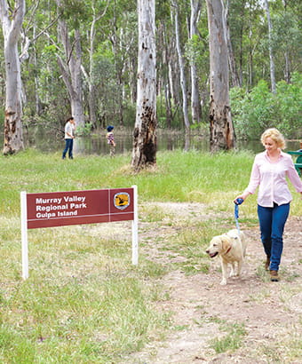 NSW National Parks And Wildlife Service | Home | NSW National Parks