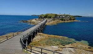 View along the foot bridge to Bare Island at La Perouse, Kamay Botany Bay National Park. Photo: Elinor Sheargold/DPIE