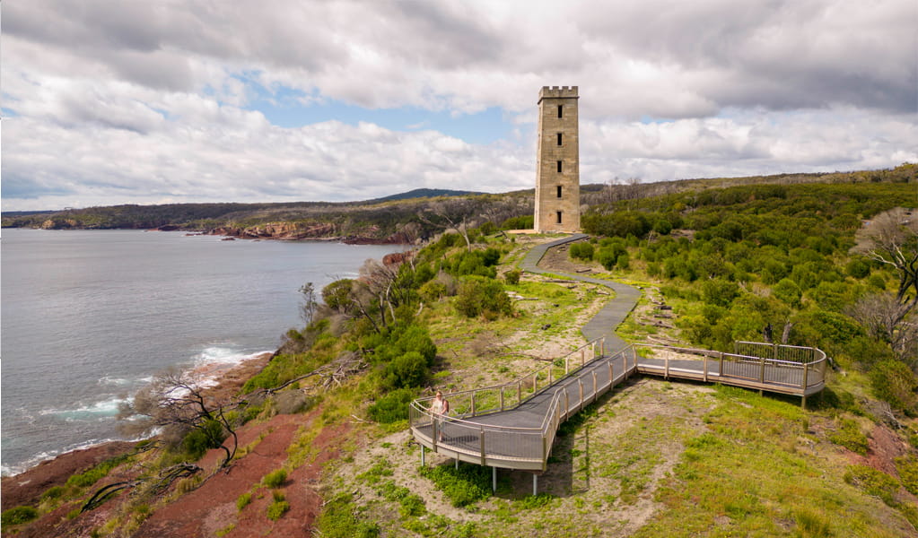 Accessible Boyds Tower walking track in Beowa National Park near Eden leads to several viewpoints with stunning coastal views. Photo: John Spencer, &copy; DCCEEW