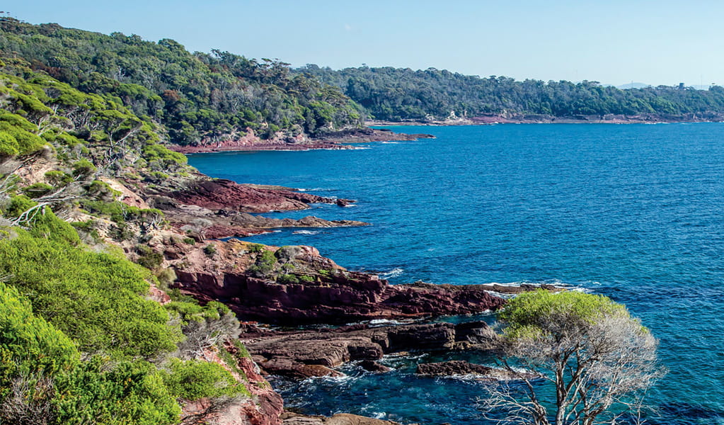 Boyds Tower in Beowa National Park near Eden is the starting point for beautiful coastal walks, including the multi-day Light to Light walk. Photo: John Spencer, &copy; DCCEEW