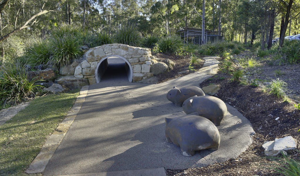 View of some large wombat sculptures, Village Green picnic area and playground, Blue Gum Hills Regional Park. Credit: Stuart Cohen, Bottle Brush Media © DCCEEW