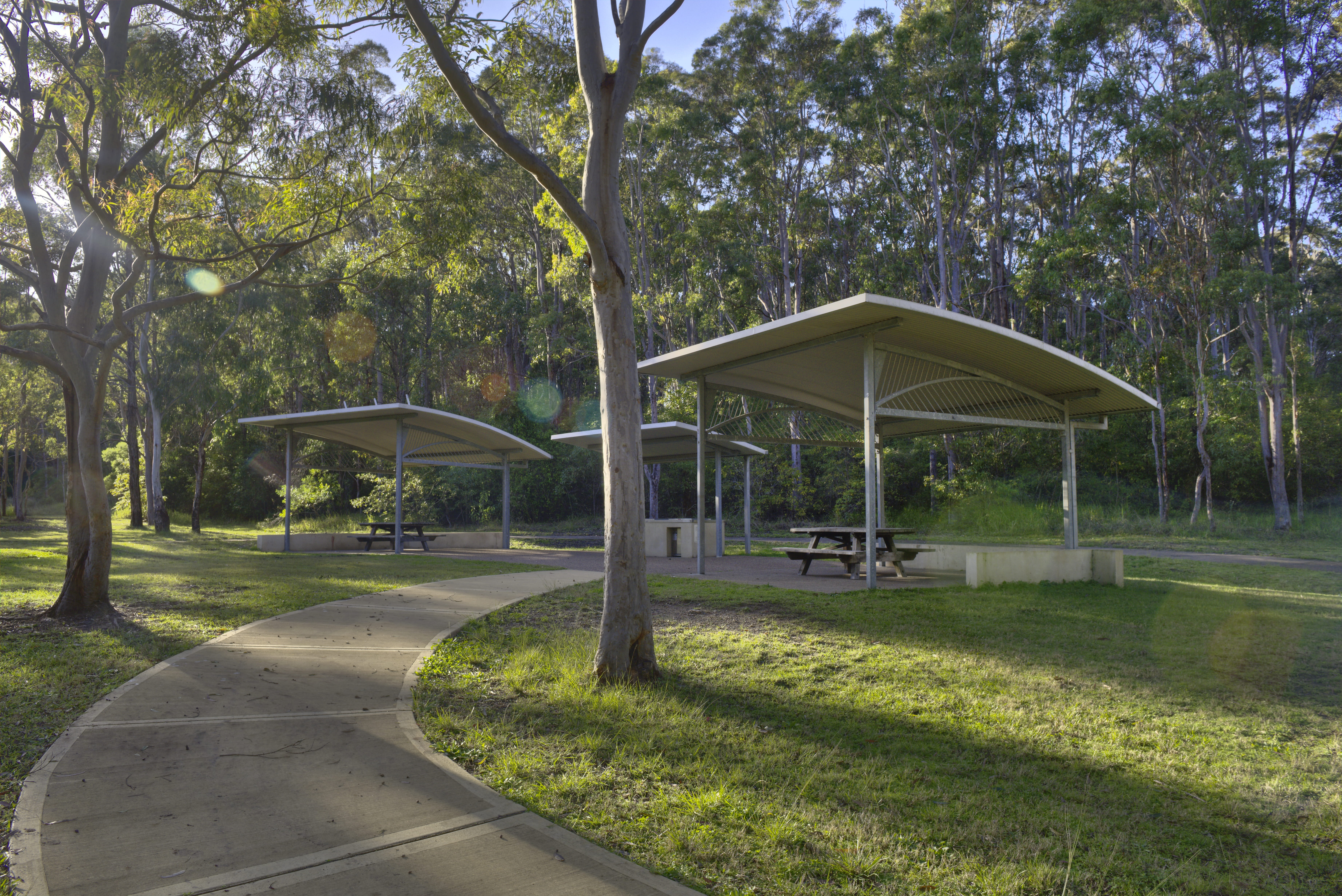 Some picnic shelters, surrounded by lush grass and tall gum trees, at Village Green picnic area and playground, Blue Gum Hills Regional Park. Credit: Stuart Cohen, Bottle Brush Media © DCCEEW