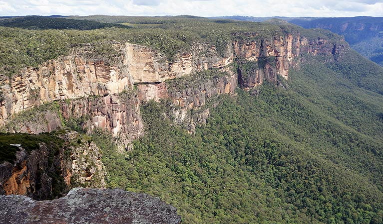 Lockley Pylon walking track, Blue Mountains National Park. Photo: Steve Alton &copy; OEH